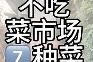 黑马难敌巅峰板鸭❗西班牙3-0完胜俄罗斯挺进08欧洲杯决赛